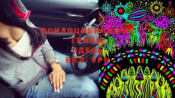 apvp Нязепетровск