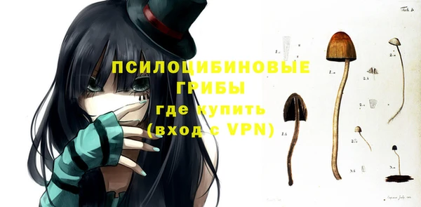 крисы Нягань
