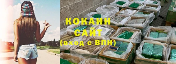 крисы Нягань