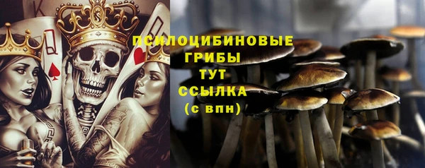 mdma Осинники