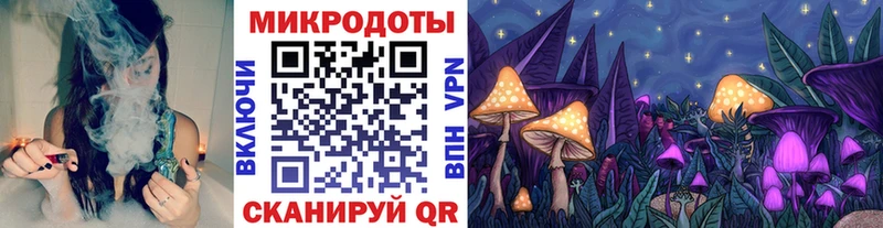 Псилоцибиновые грибы Cubensis  Топки 